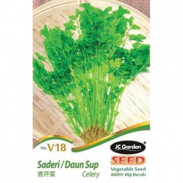 JC Garden V18 Vegetable Seed Celery Saderi Daun Sup Biji Benih Sayur