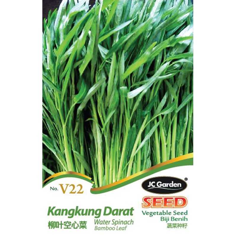 Jc Garden V22 Vegetable Seed Water Spinach Bamboo Leaf Kangkung Darat Biji Benih Sayur Sayuran