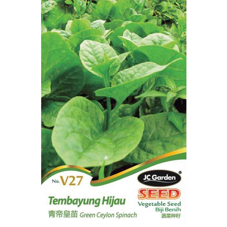 Jc Garden V33 Vegetable Seed Celery Saderi Biji Benih Sayur Sayuran